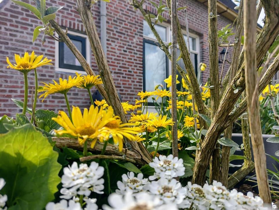 Grytmanshoeve, Vakantiehuis Met Glamping Niawier Esterno foto